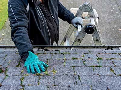 Worker with gloves inspecting a residential roof with moss growing on it